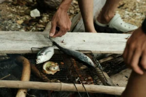Çatalca’da Balık Nerede Yenir?