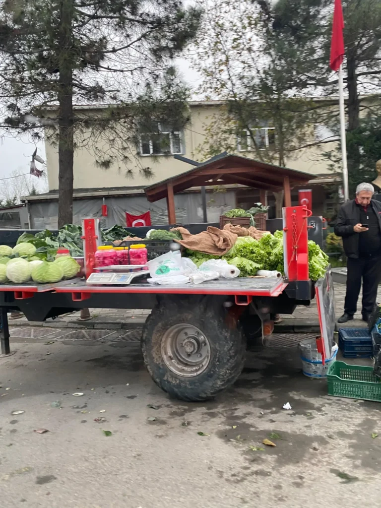 Ormanlı yolunda yerel halkın sattığı sebze ve turşu ürünleri bulunan yol kenarı köy tezgahı.